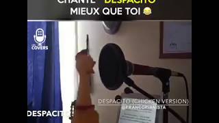 Quand un poulet en plastique chante «Despacito» mieux que toi 😂 Quand un poulet en plastique chante «Despacito» mieux que toi 😂