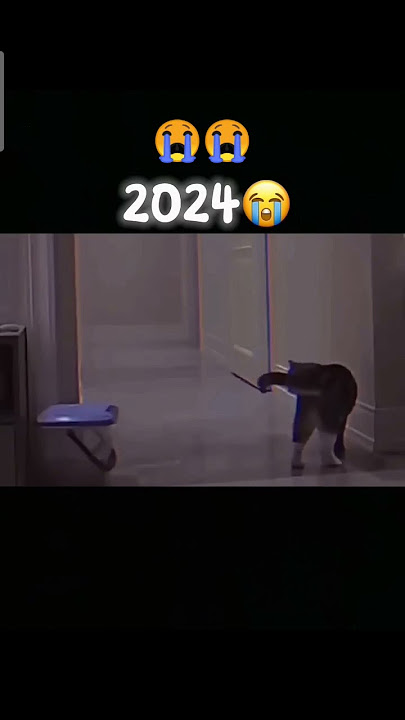 kasihan 🥺🥺 #fypシ゚viral #cat #sadstatus #