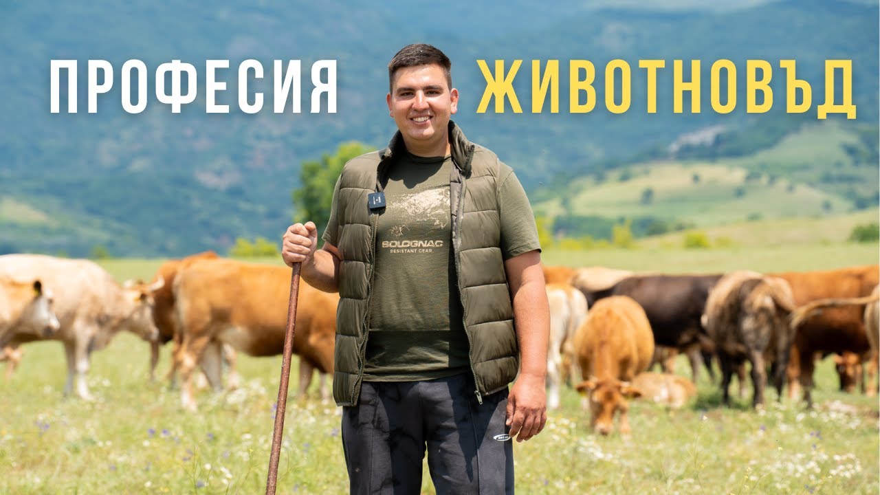 Избрах Бг: Мисия 