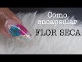 Flor seca encapsuladas passo a passo