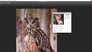 3. 3 - Enfocar y desenfocar [CURSO de PHOTOSHOP para fotógrafos y diseñadores]