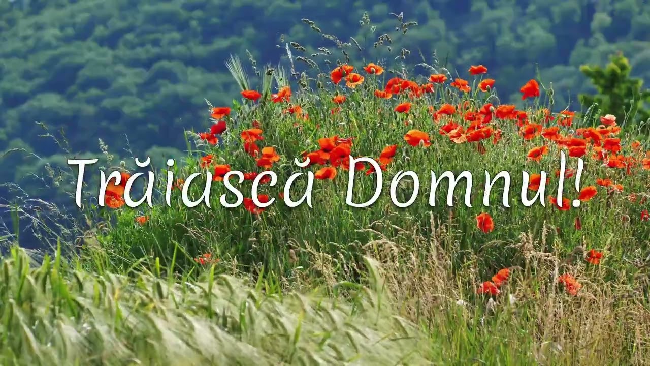 Voi ține în mâna mea un steag de biruință | George Sabo