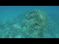 Море, рифы и черепаха Мадинат Макади (Джаз)