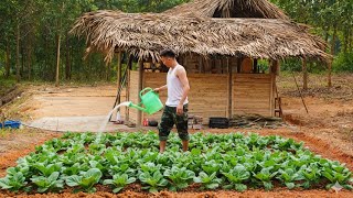 With great skill, the soldier turned the wild land into a beautiful farm.
