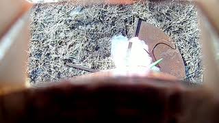 LOC Big Nuke 3E NAR Level 3 Cert Flight on an Aerotech M1350W DMS - On Board
