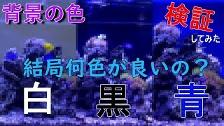 海水水槽の背景の色何色が良いの？同じ水槽で検証してみたら違いが凄すぎた
