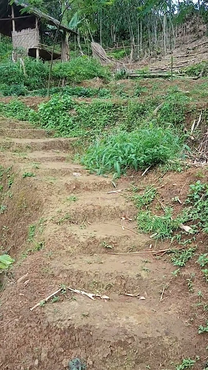 JALAN DESA YANG INDAH