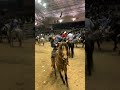 Feria del caballo Español 2/15/2020