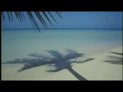 Drown in the Clouds of Dew - Rozie Ramati - (Slowed/Reverb& bass boosted)