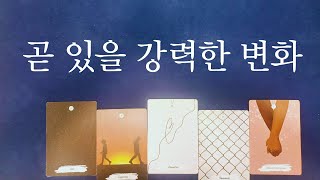 [타로]  곧 있을 강력한 변화 #타로운세#타로#특별한기회#운명#기회#영타로