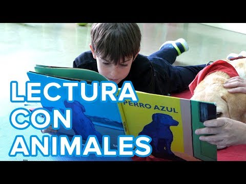Video: Libros Y Huesos: Los Beneficios De La Lectura Para Los Animales