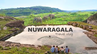 නුවරගල රහස් දොරටුව 😱 | Nuwaragala Camping Adventure 🏕️