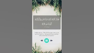 ابداع القارئ حامد سائد 😍🥀🌷