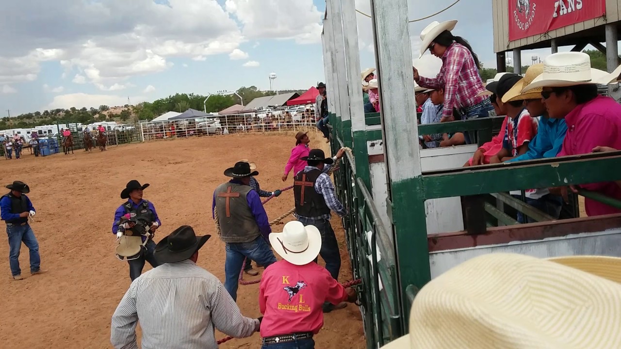 Shonto 2017 Harry Brown *Wild Horse Race* July 16,2017 - YouTube