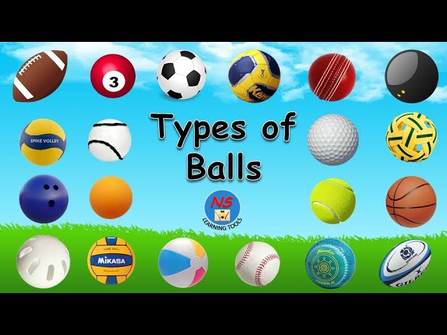 Learn Types of Balls in English! Types of Sports Balls Ball Names in  English For Everyone!⚽️⚾️🥎🏀🏐🏈🏉🏓