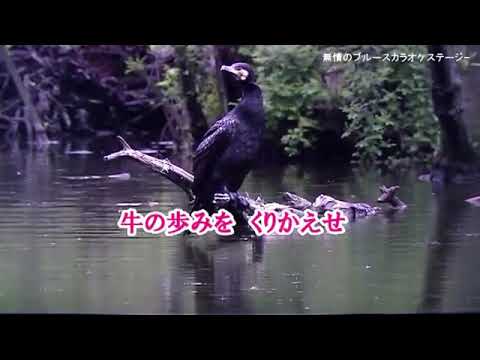 「大器晩成」　　島津亜矢　coverブルース無情