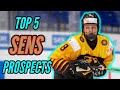 Top 5 Sens Prospects (2020-2021) || Ottawa Senators Top Prospects