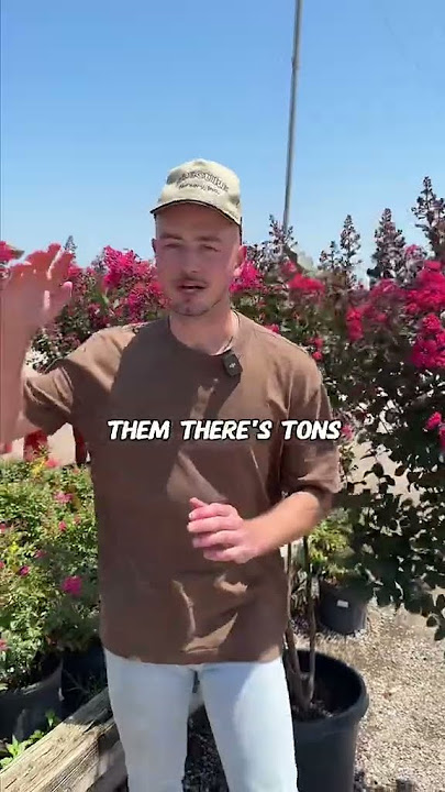The freshest blooms in the state #flowerbeds #tips #flowers #plants #garden