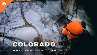 Don't Apply for Colorado Hunting Tags Until You Watch This