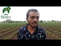 Ad- oromate oro agri science demo plot in chili crop वि- ओरोमेट एग्री मिर्च में डेमो प्लाट के रिजल्ट