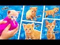 Mi Sorprendente Experiencia Con Un Gatito Bebe Huerfanito! // 😺 Guía de CUIDADOS para Gatito Bebe