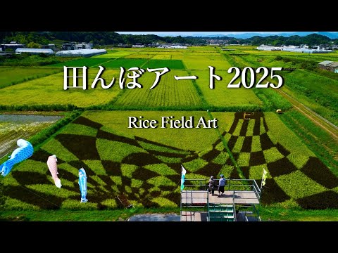 田んぼアート菊川2025|Rice Field Art in Kikugawa, Shizuoka | Mt. Fuji & Suruga Bay Trick Art