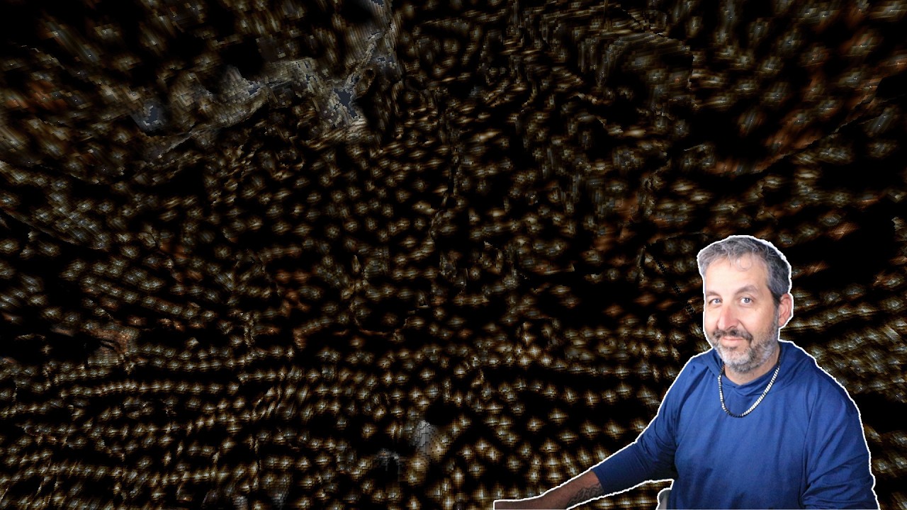 Helping Tango And More! - Hermitcraft Stream