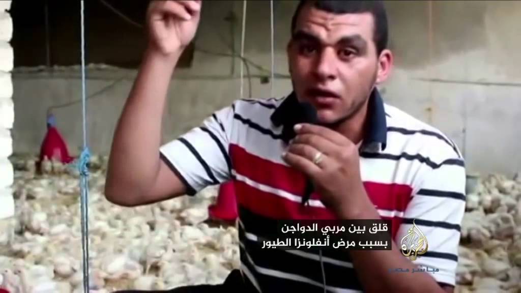 من جديد.. تجدد شبح "أنفلونزا الطيور"