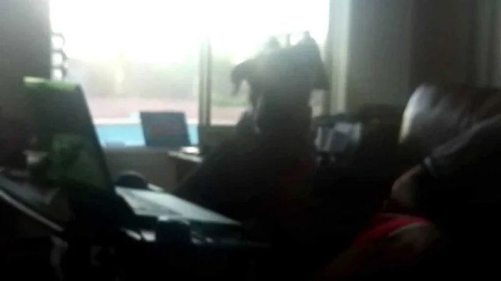 "Woof woof me maybe"  Sophie Lee's cover debut