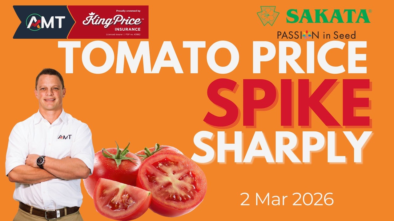 🍅 Tomato prices spike sharply! | Fresh Produce Market Update – 2 March 2026