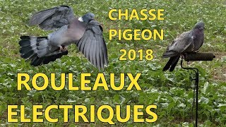 Chasse pigeon 2018 au rouleau électrique