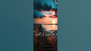 ولا تتمنوا ما فضل الله به بعضكم على بعض للرجال نصيب مما اكتسبوا وللنساء نصيب - سورة النساء - الحصري