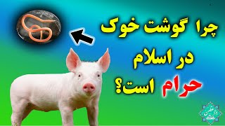 چرا گوشت خوک در اسلام حرام است؟