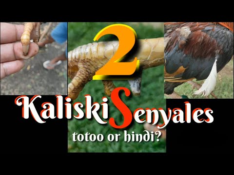 EP71: Kaliskis Senyales Part 2