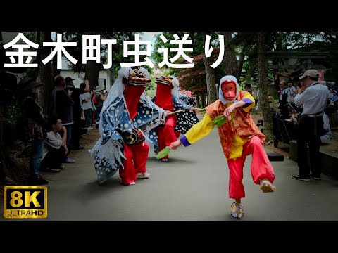 【金木町虫送り】太刀振り 獅子踊り 荒馬 青森県無形民俗文化財【青森県五所川原市】8K 2025