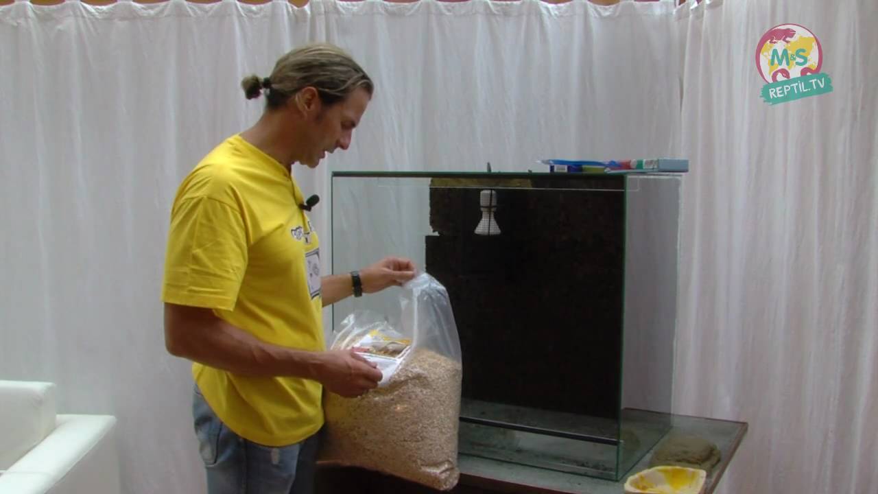 Reptil TV Folge 11 Basics Teil 2 Einrichten eines Terrariums YouTube ~ Sukkulenten Terrarium Einrichten Reptil TV Folge 11 Basics Teil 2 Einrichten eines Terrariums YouTube ~ 07123836_Sukkulenten Terrarium Einrichten