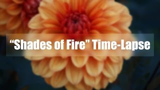 'Shades of Fire' Time Lapse