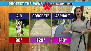 Walk the Dog Forecast (5/14/2025) - CHARLIE