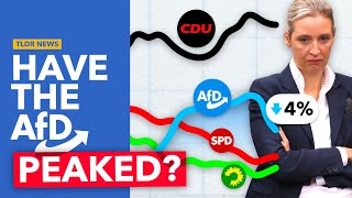 Why Germany’s AfD is in Decline