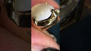 IMG 9841