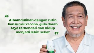 Herbal Anti-Diabetes? Cek Manfaat Yacona Sebelum Beli‼️