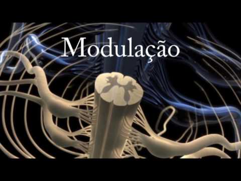 Dor | Atlas da Saúde