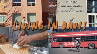 Living in Davis, pt 1 (UC Davis student edition)