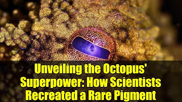 Unveiling the Octopus