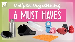 Welpenerstausstattung  6 Must Haves!