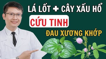Bài thuốc BÍ TRUYỀN từ lá lốt và cây xấu hổ – Giảm đau khớp tức thì | Cao Minh Trường