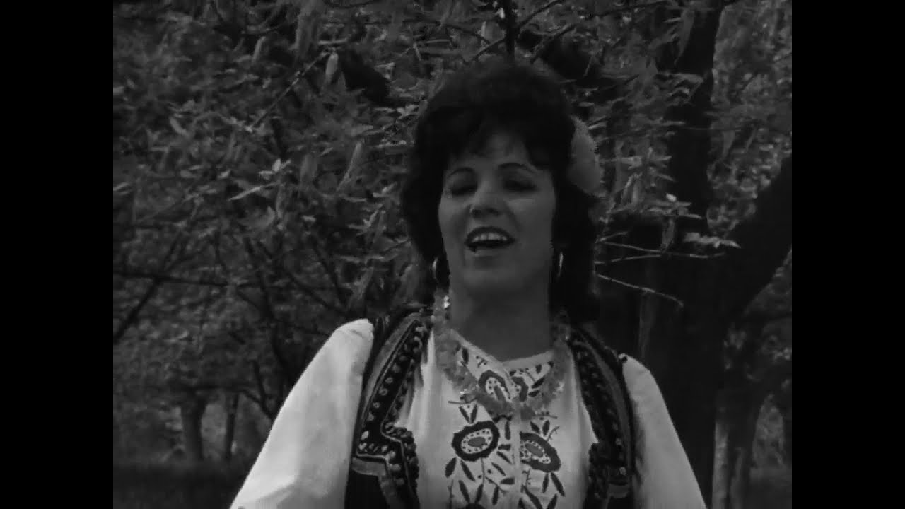 Васка Илиева - Не плачи Стано мори (1979)