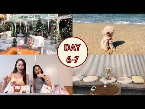 VLOGMAS 2021 #6-7 คาเฟ่ ร้านอาหาร โรงแรมสุนัขพักได้ พัทยา🏖️ + แลกของคริสต์มาสกับเพื่อน🎄🎁 | Katekunya