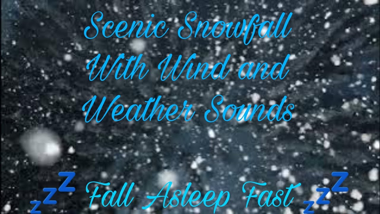 Snow Storm With Howling Wind & Blowing Snow Sounds For Sleep - YouTube
