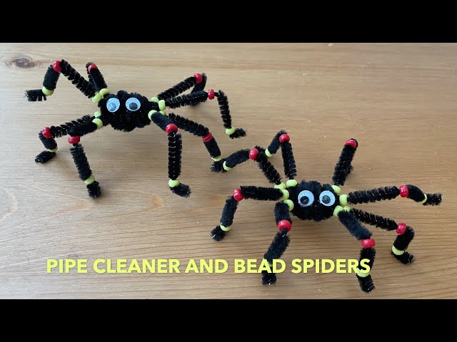 Pipe Cleaner Spider – LCCraft